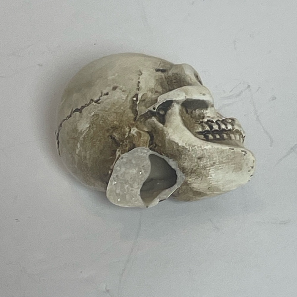 Spooky Halloween Skull Design Mini Trinket Set - Picture 5 of 12
